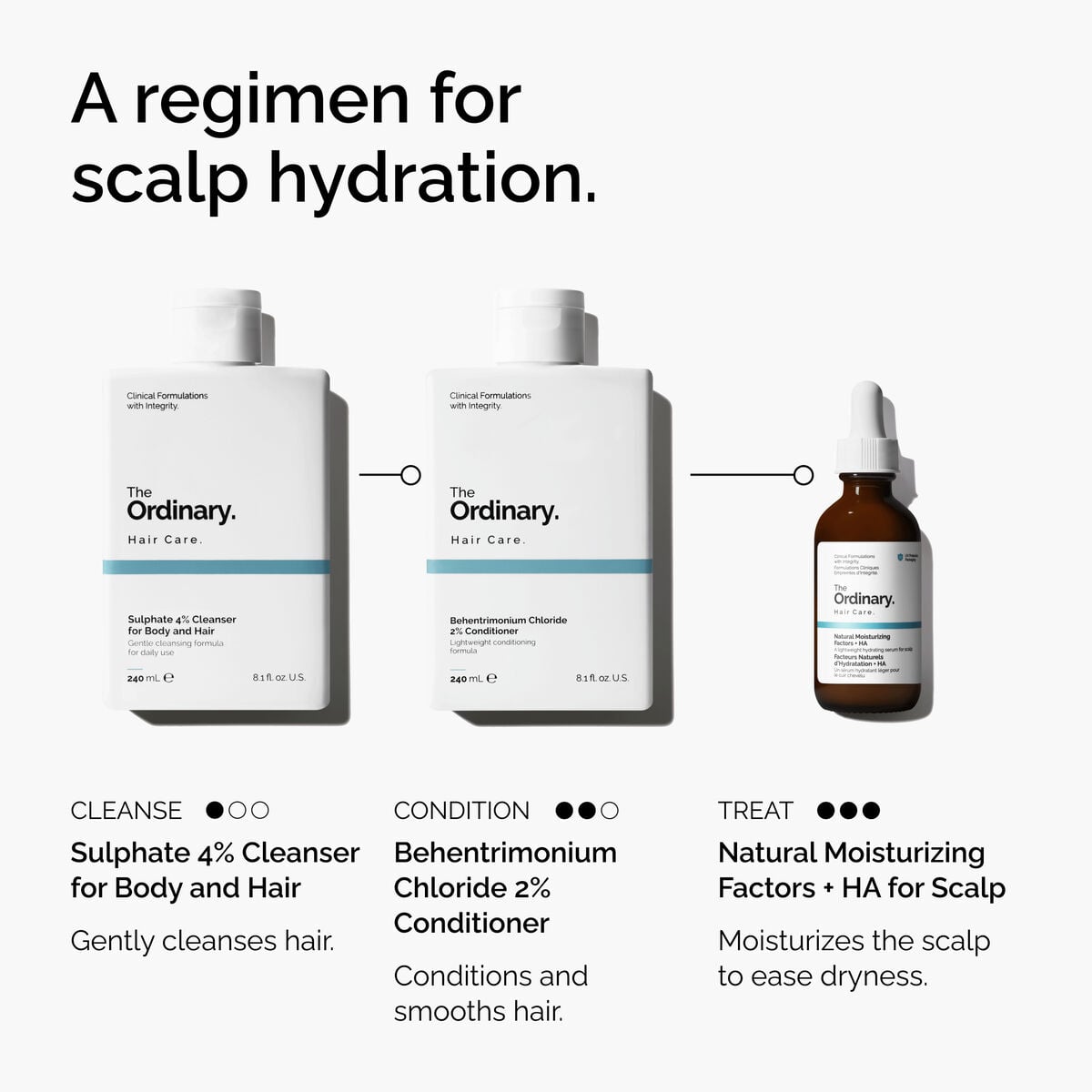 Natural Moisturizing Factors + HA for Scalp - Smooth Finish