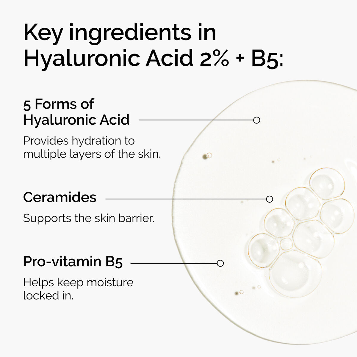 Acid 2% + B5 (with Ceramides) - Everyday Pop