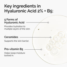 Acid 2% + B5 (with Ceramides) - Everyday Pop