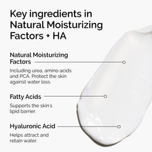 Natural Moisturizing Factors + HA - Easy Blend
